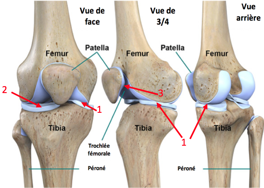 Sindromul femuro-patelar. Cauze, simptome, tratament