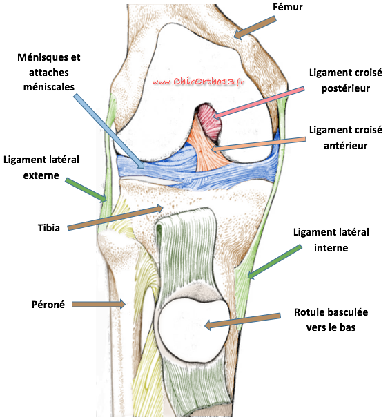 Lignormanatfin